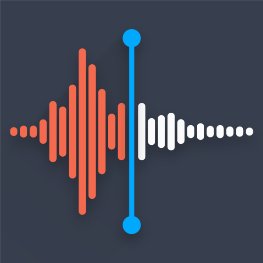 audio forensic